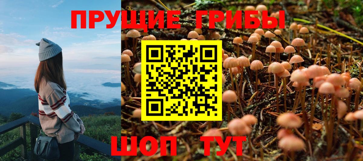 Псилоцибиновые грибы MAGIC MUSHROOMS Новоуральск